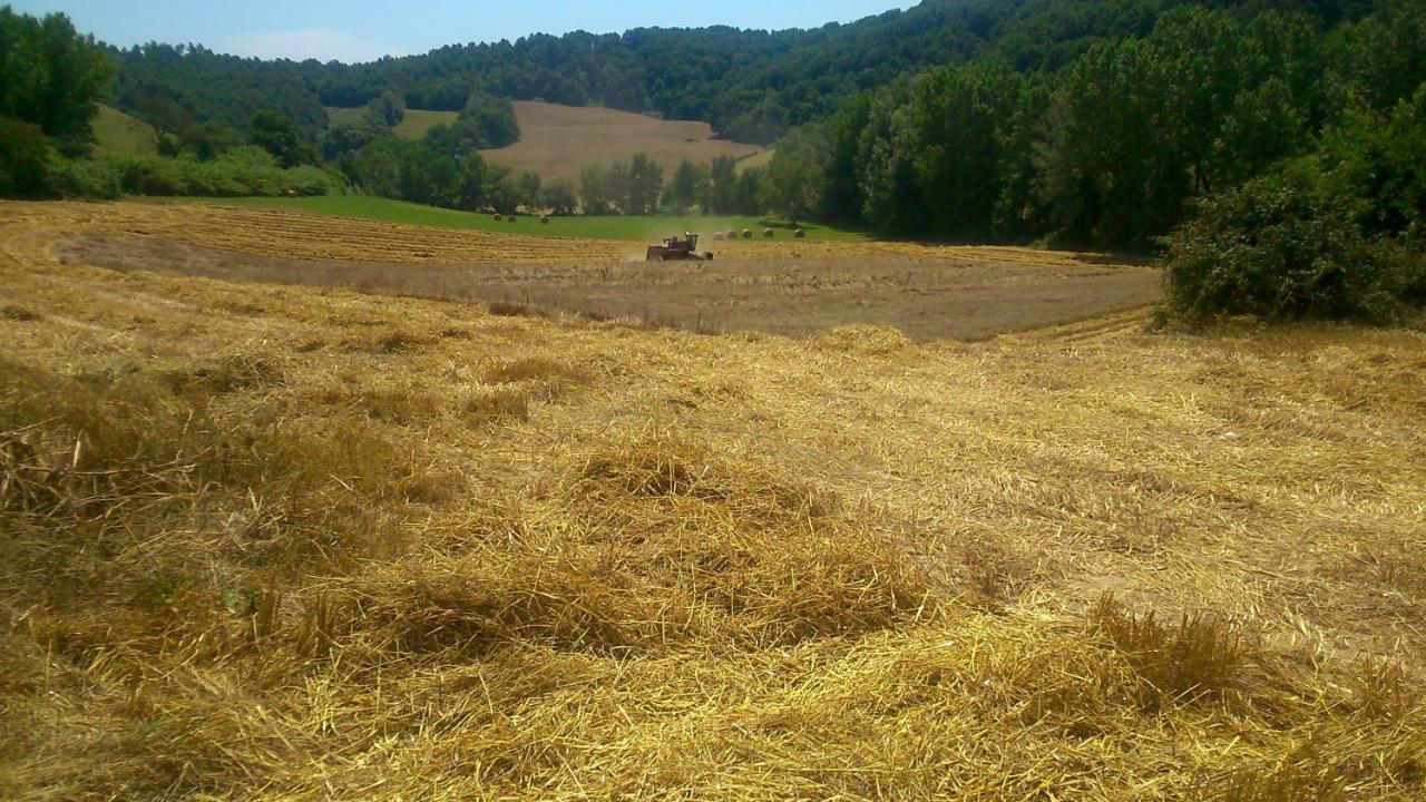 Borgodoro - Natural Luxury Bio Farm Magliano Sabina Exterior foto